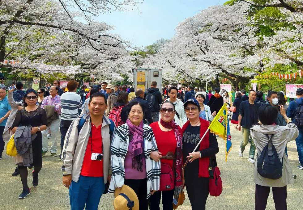 Kinh nghiệm du lịch Nhật Bản: Dành cho những ai lần đầu đến Kyoto